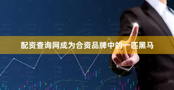 配资查询网成为合资品牌中的一匹黑马